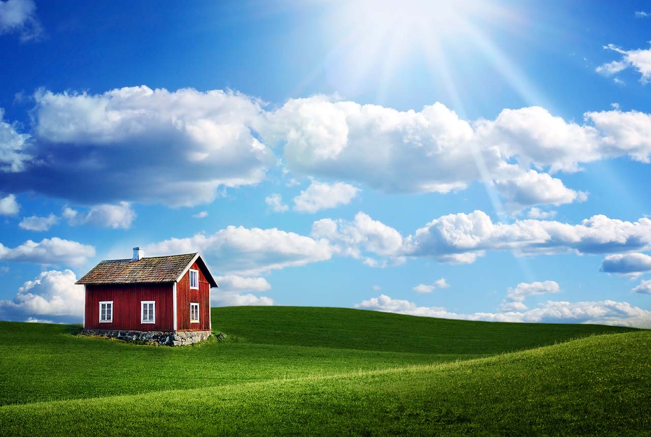 Farm1
