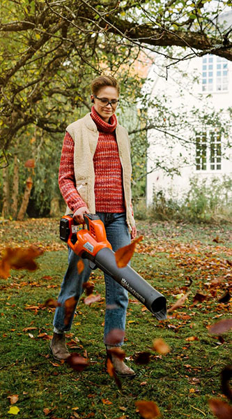 Leaf blower